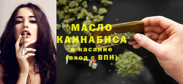 твердый Гатчина
