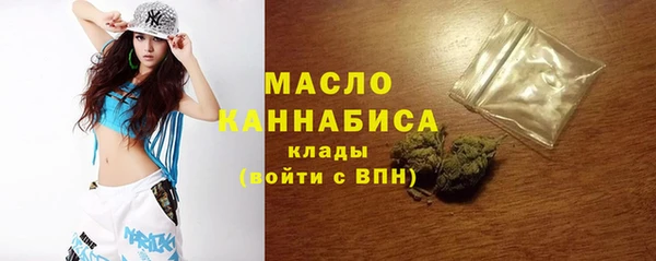 твердый Гатчина